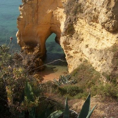 高难度公园停车